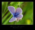/album/resim-galerisi/k15-jpg/